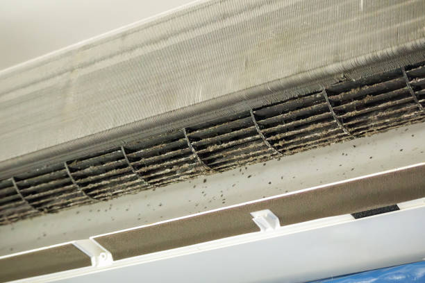 Best Air Duct Inspection  in Englewood, NJ