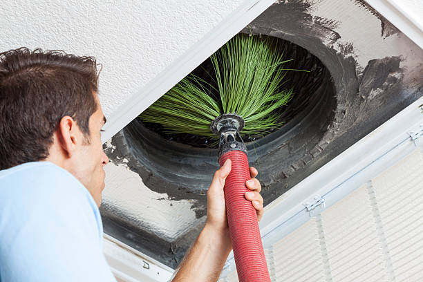 Best Air Duct Cleaning Company Near Me  in Englewood, NJ